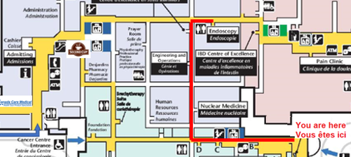 GEN CCNE goto Endoscopy.png
