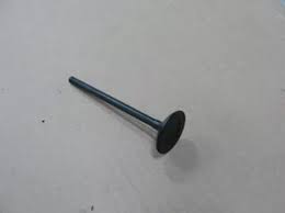 103310550 1.jpg