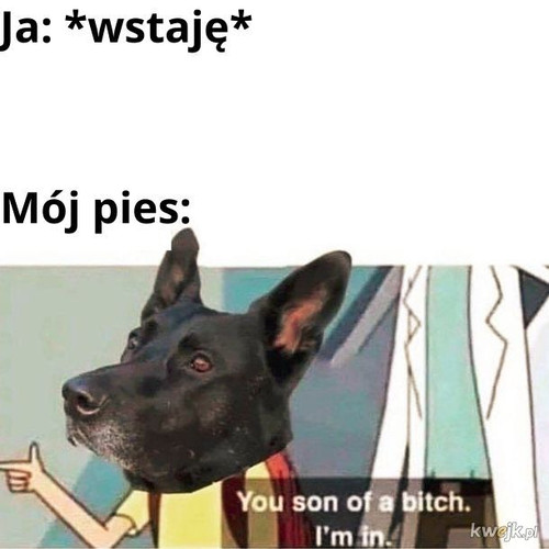3ell9lb2a55rkOKg.jpg