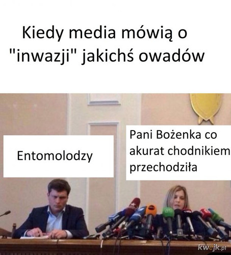 TK7O8K5PxjXb2Dg4.jpg