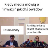 TK7O8K5PxjXb2Dg4