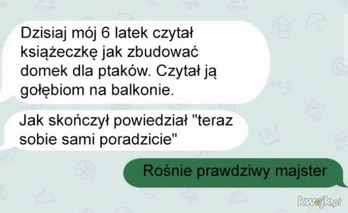 zN2bXzhXJN9jc2Ws.jpg