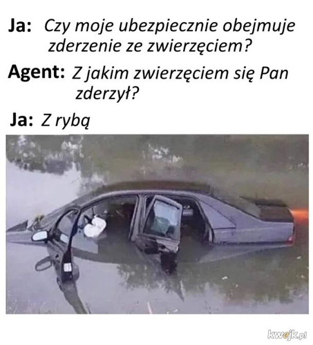 wllgqjBGcUbroa4N.jpg
