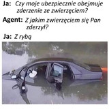 wllgqjBGcUbroa4N