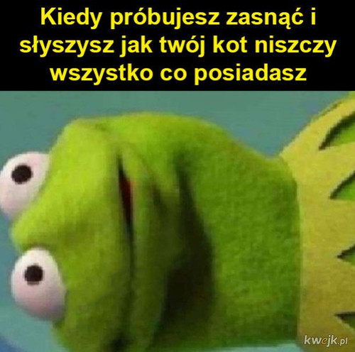 R57dLNPaUgehkHme.jpg