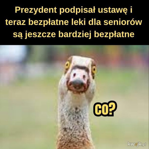 F63fueB0VxOAOyyH.jpg