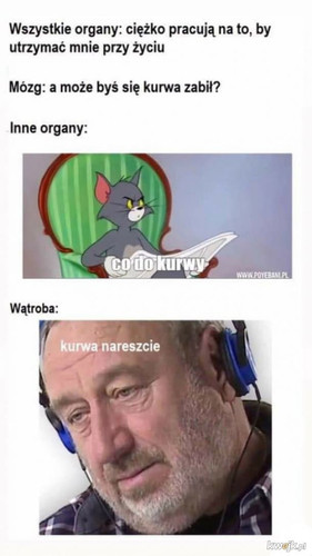 c6SQ1xbNShTaOmpO.jpg