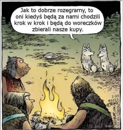TxrXX9QaVpYccNpI.jpg