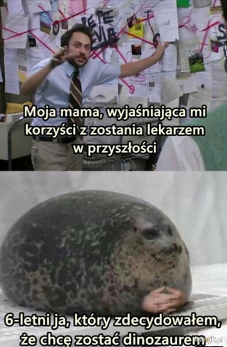 jPDwnWHXH0MAD0rf.jpg