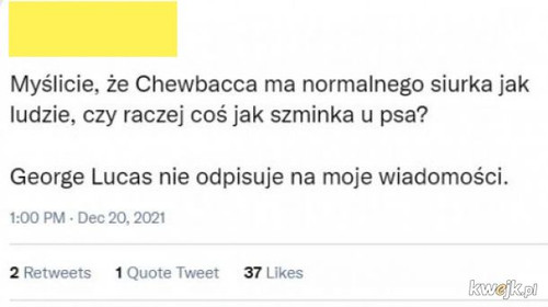 rro9P9idi0SUKvyV.jpg