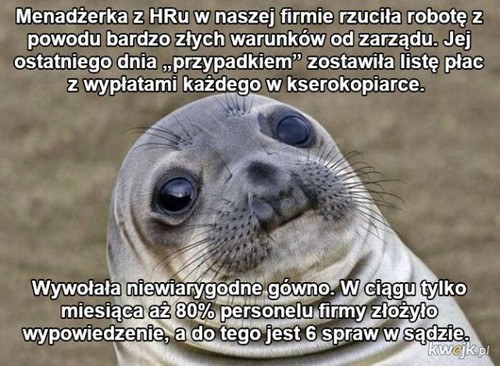nibQPQNqfB4Tjm5G.jpg
