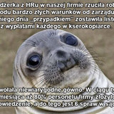 nibQPQNqfB4Tjm5G