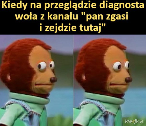 wketU1uyIjrUwzPq.jpg