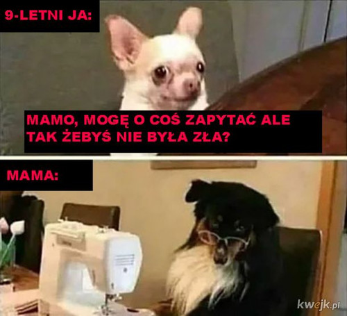 r1UxXswaAJ6ou4A9.jpg