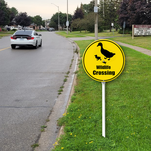 round20 39.png