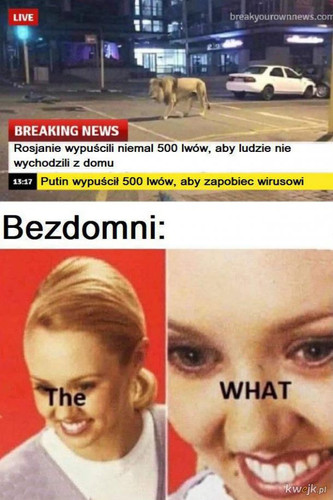 cS44IotTxHk2M8E3.jpg
