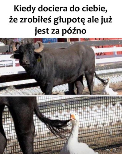 nJetHILkJEdaMHxX.jpg