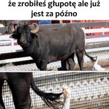 nJetHILkJEdaMHxX