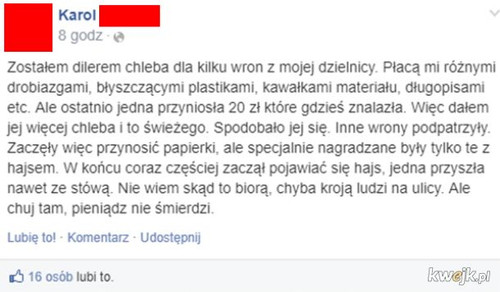 kcppQzripyKEwfTI.jpg
