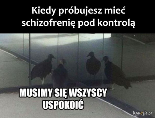 uKx5wzwnjexw1Auf.jpg