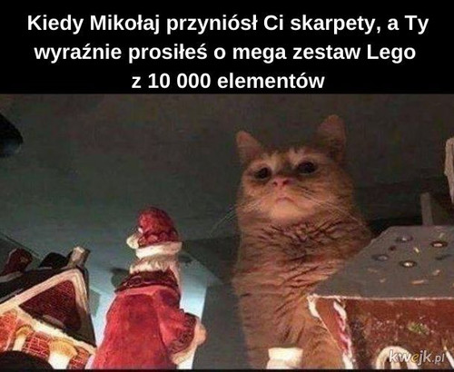 iGoq7iZRhPnNa5se.jpg