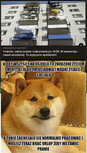 5Zwo320u7Oxcj7oa.jpg
