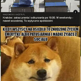 5Zwo320u7Oxcj7oa