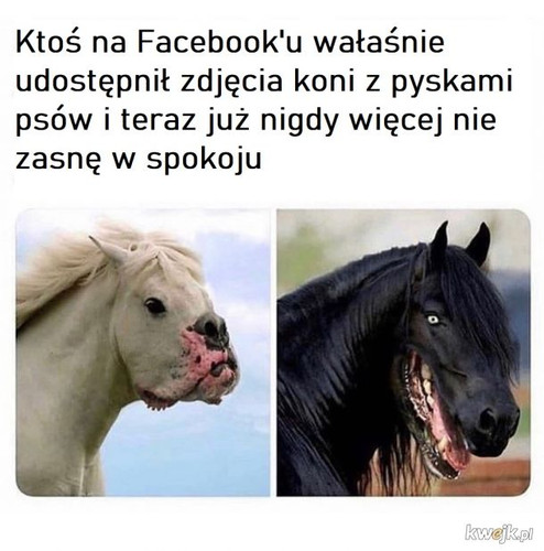 keB5uHk0jegNcUxs.jpg