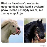 keB5uHk0jegNcUxs