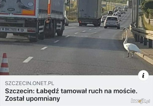kaSSkGUcmvyni5lJ.jpg