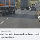 kaSSkGUcmvyni5lJ