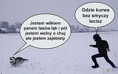 vYKmml2BH4JTJyO6.jpg