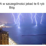 WCV5lceOLKdAuyPq