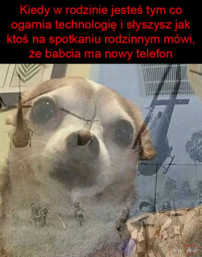 EyXOVKCT2mOsO8Ox.jpg