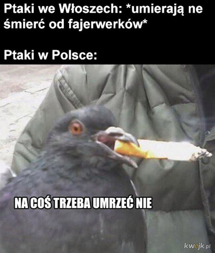jW13QEFTwadDA30E.jpg