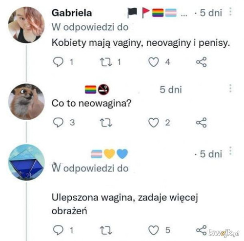 LJpS933yerRH9heP.jpg