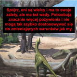 rJI2OlTlzaGnzBSj
