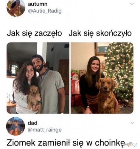 dDqT36kLlgAEMB2h.jpg