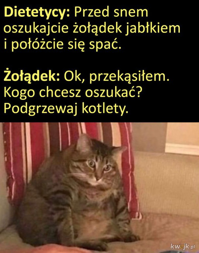 j6ClGoeLZkq3jTyR.jpg