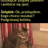 j6ClGoeLZkq3jTyR