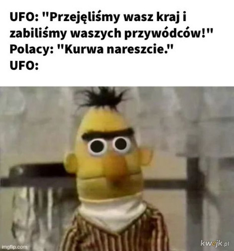 tLXiC381ei117gOz.jpg