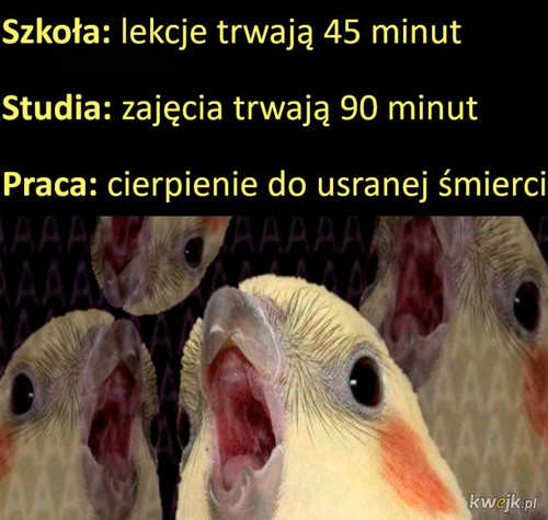 CpJPuECE6LMWvxbM.jpg