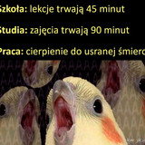 CpJPuECE6LMWvxbM