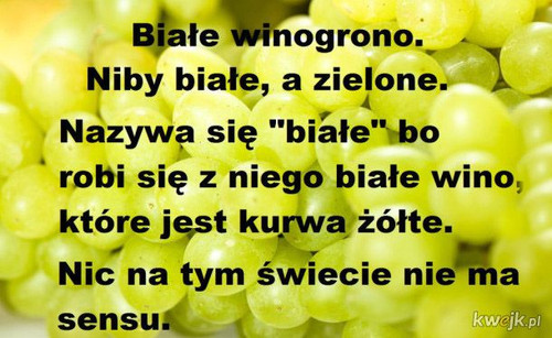 HCgiikGkPo6j1jfW.jpg