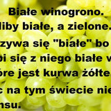 HCgiikGkPo6j1jfW