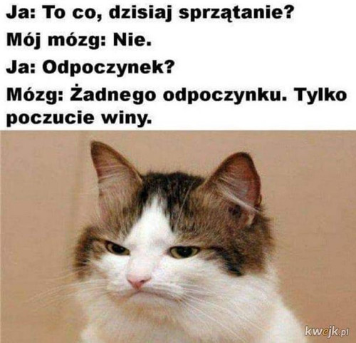 BR6PcPO74ZYbrYD2.jpg