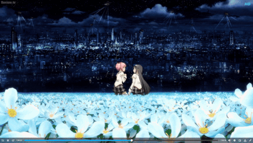 py5t50ia080a1.gif