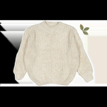Query Image 25.png