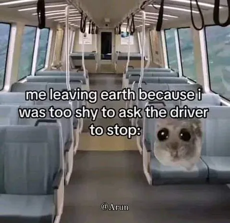 apRLdXn 460swp.webp
