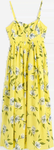 Query Image 70.png